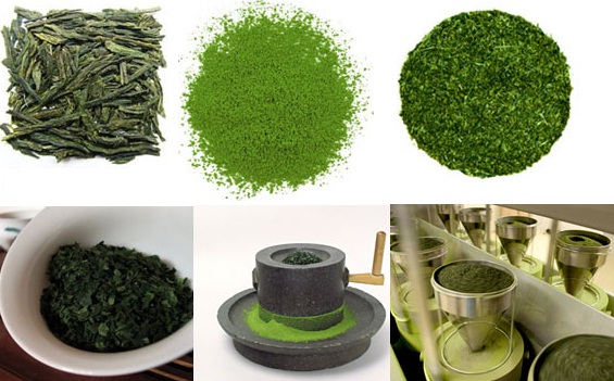  Các quy trình chế biến của bột trà xanh
